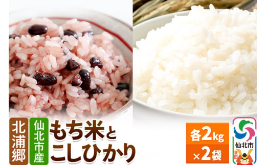 仙北市産 もち米とこしひかりのセット 令和6年産 各2kg 2袋