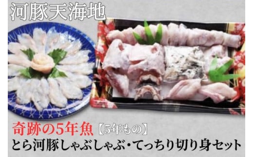 奇跡の５年魚【5年もの】とら河豚しゃぶしゃぶ120g・てっちり切り身250gセット(ざく80g付） 1394331 - 香川県坂出市