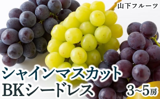 【先行予約】山下フルーツ シャインマスカットとBKシードレスの詰め合わせ 3房から5房 2025年8月中旬から9月中旬 出荷予定 389696 - 福岡県うきは市