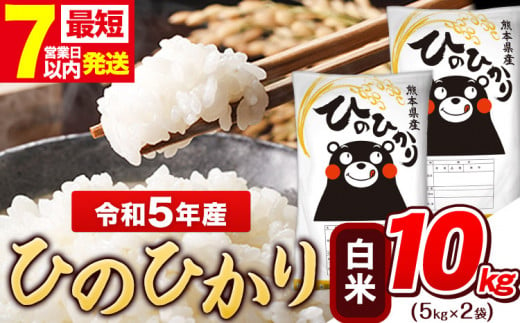 令和5年産 ひのひかり 白米 10kg 《7-14営業日以内に出荷予定(土日祝除く)》 5kg×2袋 熊本県産 米 精米 ひの 熊本県 玉東町 1409122 - 熊本県玉東町