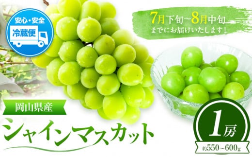 ぶどう 葡萄 岡山県産 シャインマスカット 1房 (約550g～600g) 佐々木農園《7月下旬-8月中旬頃出荷》岡山県 笠岡市 送料無料 マスカット フルーツ 果物 ブドウ お取り寄せフルーツ【配送不可地域あり】 st-p