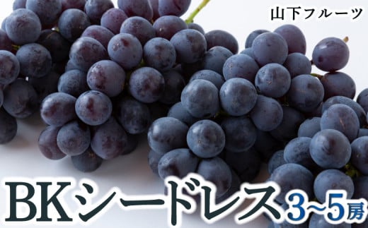 【先行予約】山下フルーツ BKシードレス 3房から5房 2025年8月中旬から9月中旬 出荷予定 252949 - 福岡県うきは市