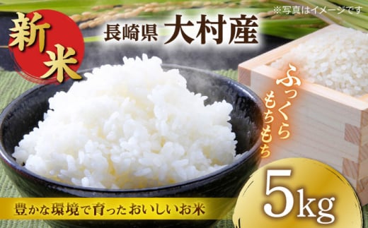 [先行予約]長崎県大村市産 R6年産 新米 5kg / 米 白米 新米 ご飯 先行予約 / 大村市 / おおむら夢ファームシュシュ [ACAA008]