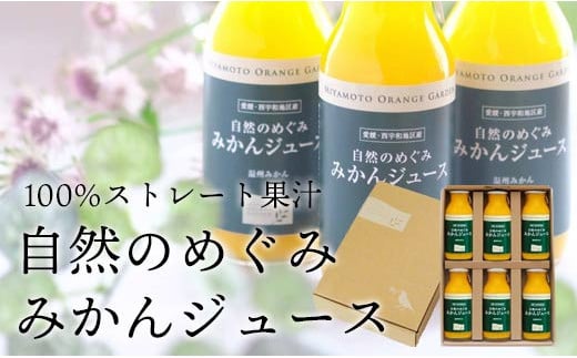 愛媛産100%ストレート 自然のめぐみ みかんジュース 180ml×6本 ギフト箱入＜C25-58＞【1144283】 403662 - 愛媛県八幡浜市