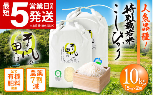 最短5営業日以内発送 令和5年産 特別栽培米 コシヒカリ 10kg 福井県産米（有機肥料100% 農薬7割減）【令和5年産 人気品種】  [e10-a013] / 福井県越前町 | セゾンのふるさと納税