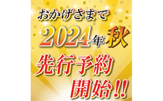 栃木県下野市のふるさと納税 【先行予約】【栃木県共通返礼品】 新高 5㎏ 12～18玉 | 梨 フルーツ 果物 栃木県 特産品