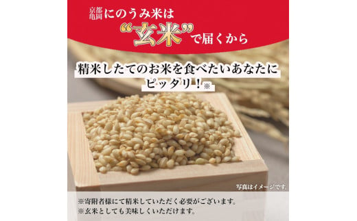 令和6年産先行予約】米 コシヒカリ 玄米 30kg〈アグリにのうみ〉京都・亀岡産◇ ※北海道・沖縄・離島への配送不可 ※2024年 11月中に順次発送予定《令和6年産 低農薬米 減農薬米》 - 京都府亀岡市｜ふるさとチョイス - ふるさと納税サイト