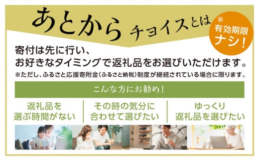 岐阜県白川村のふるさと納税 ＼あとから選べる ／オンラインカタログ あとからチョイス 3万円 30000円 有効期限なし 後から選べる S532 肉 牛肉 豚 すき焼き 焼肉 宿泊 観光 旅行 休日 旅 温泉 飛騨 飛騨牛 酒 日本酒 ギフト プレゼント 2024 定期便 白川郷