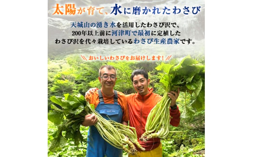 静岡県河津町のふるさと納税 わさび丼 セット 伊豆わさび食品直送 生わさび 2本 鰹節 白米 わさび かつおぶし コシヒカリ かつお節 こしひかり 精米 米 お米 こめ コメ 単一材料 伊豆 ワサビ 加工品 加工食品 薬味 詰め合わせ 静岡 【夏ギフト特集】調味料 [№5227-0350]