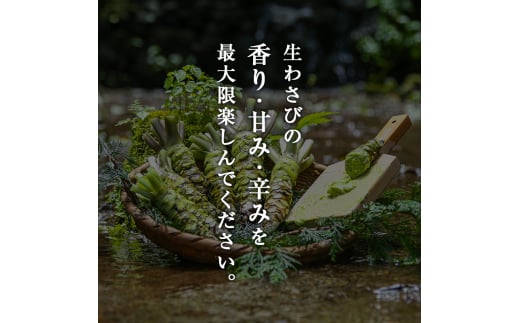 静岡県河津町のふるさと納税 わさび丼 セット 伊豆わさび食品直送 生わさび 2本 鰹節 白米 わさび かつおぶし コシヒカリ かつお節 こしひかり 精米 米 お米 こめ コメ 単一材料 伊豆 ワサビ 加工品 加工食品 薬味 詰め合わせ 静岡 【夏ギフト特集】調味料 [№5227-0350]