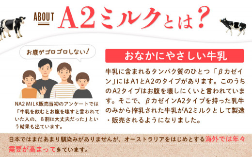 【定期便：全3回】なかしべつ牛乳プレミアム NA2 MILK 1000ml×12本