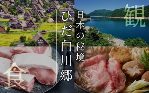 岐阜県白川村のふるさと納税 ＼あとから選べる ／オンラインカタログ あとからチョイス 3万円 30000円 有効期限なし 後から選べる S532 肉 牛肉 豚 すき焼き 焼肉 宿泊 観光 旅行 休日 旅 温泉 飛騨 飛騨牛 酒 日本酒 ギフト プレゼント 2024 定期便 白川郷