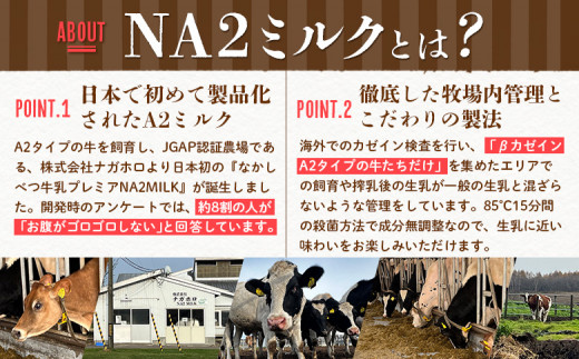 【定期便：全3回】なかしべつ牛乳プレミアム NA2 MILK 1000ml×12本