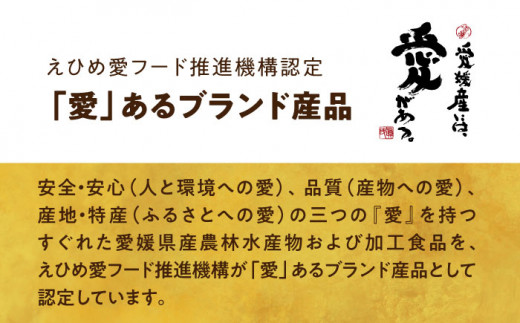 愛媛県産のお肉を贅沢に使用！ご当地カレー！ビーフカレー＆チキンカレーセット　カレーライス レトルトカレーライス 非常食 保存食