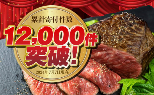 岐阜県白川村のふるさと納税 飛騨牛 ブロック肉 1kg (霜降り肉 赤身肉 500g×2 ) 訳あり 30000円 [S090]