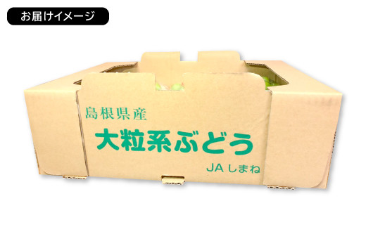 ※お届けイメージ