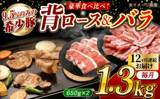 【月1回約1.3kg×12回定期便】大西海SPF豚 背ロース＆バラ（焼肉用）計15.6kg 長崎県/長崎県農協直販 [42ZZAA107] 肉 豚 ぶた ブタ ロース バラ 豚バラ 焼肉 焼き肉 食べ比べ 西海市 長崎 九州 定期便 948574 - 長崎県長崎県庁