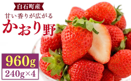 【先行予約】上品な香りの「かおり野」240g×4パック【StrawberryFarm-K】 [IBJ012] 1395754 - 佐賀県白石町
