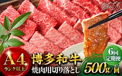 【全6回定期便】【和牛の旨味を堪能！】博多和牛焼肉用 500g＜株式会社MEAT PLUS＞那珂川市 [GBW020]