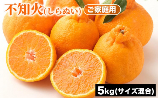 ご家庭用 不知火 (しらぬい) サイズ混合 5kg | みかん 柑橘 和歌山 みかん 不知火 しらぬい 家庭用 フルーツ 果物 5kg ※2026年1月下旬〜3月下旬頃に順次発送