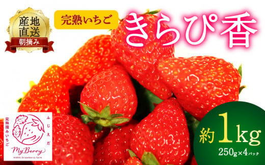 【先行予約 : 2025年1月～2025年2月発送予定 】 いちご きらぴ香 約1kg 約250g×4パック 朝どれ 完熟 苺 産地 直送 フレッシュ イチゴ 贈答 フルーツ 果物 国産 静岡県 藤枝市 ふるさと人気 ふるさとおすすめ ( 人気いちご ふるさと納税いちご ふるさといちご furusatoいちご おすすめいちご 送料無料いちご ) 1065471 - 静岡県藤枝市