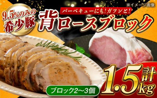 [肉塊で肉会]大西海SPF豚 背ロースブロック 計1.5kg(2〜3個)長崎県/長崎県農協直販 [42ZZAA088] 肉 豚 ぶた ブタ ロース 塊 ブロック 西海市 長崎 九州