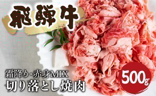 【訳あり】飛騨牛 霜降り 赤身 ミックス 切り落とし 焼肉 500g 訳あり 訳アリ わけあり ワケアリ 不揃い 焼き肉 牛肉 和牛 バラ モモ カタ 飛騨市 18000円 2126635 - 岐阜県飛騨市