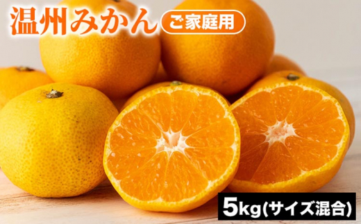 ご家庭用 温州みかん (サイズ混合) 5kg | みかん 柑橘 和歌山 ミカン 温州 家庭用 フルーツ 果物 5kg ※2025年10月下旬〜12月下旬頃に順次発送予定