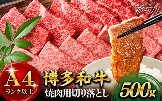 【和牛の旨味を堪能！】博多和牛 焼肉用 500g＜株式会社MEAT PLUS＞那珂川市 [GBW003]