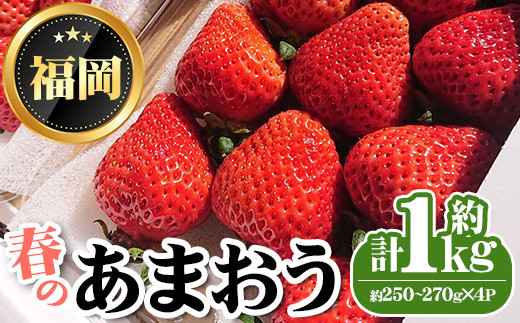 ＜先行予約受付中・数量限定＞2025年3月からお届け！春のあまおう(計約1kg・約250～270g×4P) 苺 いちご イチゴ フルーツ 果物 くだもの 手作り スイーツ ＜離島配送不可＞【ksg1250】【THE FARM_strawberry】 955314 - 福岡県春日市