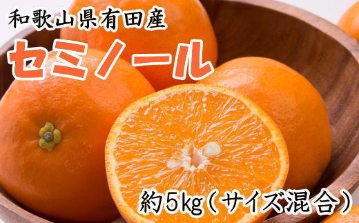 和歌山有田産セミノールオレンジ約5kg(サイズ混合) ※2025年4月中旬～2025年5月上旬頃に順次発送【tec969】 1394861 - 和歌山県紀美野町
