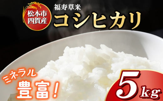 松本市四賀産・コシヒカリ（ウルチ米）5kg 四賀ブランド 福寿草米 コシヒカリ | こしひかり コシヒカリ うるち米 米 こめ 四賀産 長野県 松本市 723063 - 長野県松本市