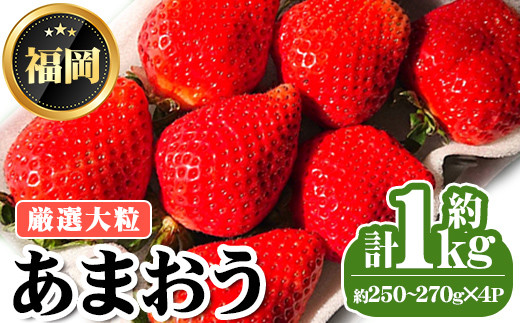 ＜先行予約受付中・数量限定＞2025年2月からお届け！厳選大粒あまおう(計約1kg・約250～270g×4P) 苺 いちご イチゴ フルーツ 果物 くだもの 手作り スイーツ ＜離島配送不可＞【ksg1249】【THE FARM_strawberry】 955313 - 福岡県春日市