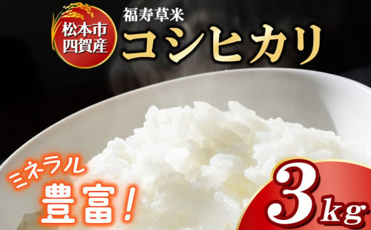 松本市四賀産・コシヒカリ（ウルチ米）３kg 四賀ブランド 福寿草米 コシヒカリ | こしひかり コシヒカリ 米 こめ うるち米 四賀産 長野県 松本市  723059 - 長野県松本市