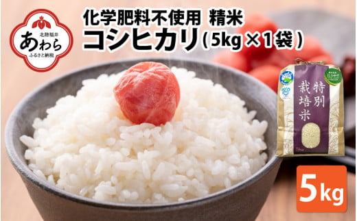 【令和6年産】 化学肥料不使用コシヒカリ  精米5kg（5kg×1袋） / 白米 米 福井県あわら市産 美味しい 特別栽培米 減農薬 安心な米 旨味 甘み もっちり エコファーマー こしひかり 冷蔵保管米 新米 1058621 - 福井県あわら市