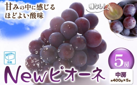 ぶどう New ピオーネ 中房5房(約400g×5房) ふじまる[2024年8月末-10月末頃出荷]岡山県 笠岡市 送料無料 葡萄 フルーツ 果物 ニューピオーネ お取り寄せフルーツ