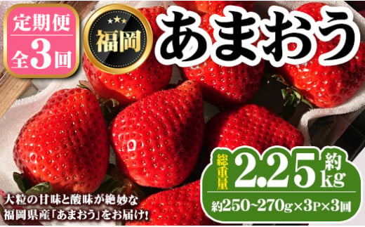 《先行予約受付中・数量限定》＜定期便・全3回（1月・2月・3月）＞2025年1月からお届け！いちご定期便 あまおう(総重量約2.25kg・約250～270g×3P×3回) いちご 苺 あまおう くだもの フルーツ 定期便 ＜離島配送不可＞【ksg1255】【THE FARM_strawberry】 955319 - 福岡県春日市