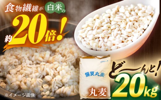  長崎県産 丸麦 20kg  麦 むぎ 雑穀 雑穀米 麦ごはん 麦みそ 麦味噌 食物繊維