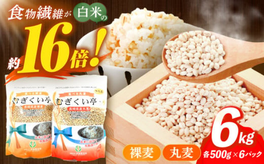 丸麦 500g×6 裸麦 500g×6 麦 丸麦 はだか麦 裸麦 麦味噌 雑穀 雑穀米 食物繊維