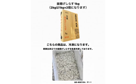 愛知県南知多町のふるさと納税 しらす 1kg 釜揚げしらす 島の工場から直送 愛知県 日間賀島産 減塩 冷凍 丸豊 魚 さかな ご飯 ごはん 国産 シラス 離乳食 人気 おすすめ 愛知県 南知多町