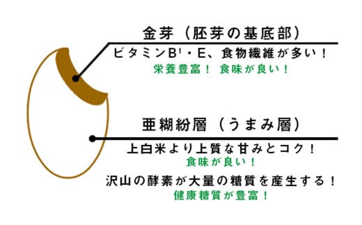 ほたるの灯り 白米 6.5kg