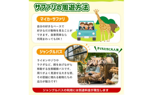 セット内容が選べる！＞アフリカンサファリ入園券とオリジナルクリアファイルのセット(入園券(大人・小人)とクリアファイル)チケット 動物園  サファリパーク形動物園 家族旅行 デート 観光【110600200】【九州アフリカ・ライオン・サファリ】 - 大分県宇佐市｜ふるさと ...