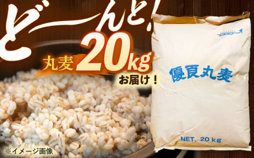  長崎県産 丸麦 20kg  麦 むぎ 雑穀 雑穀米 麦ごはん 麦みそ 麦味噌 食物繊維