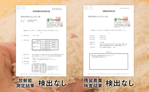 ほたるの灯り 白米 6.5kg