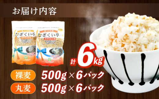 丸麦 500g×6 裸麦 500g×6 麦 丸麦 はだか麦 裸麦 麦味噌 雑穀 雑穀米 食物繊維