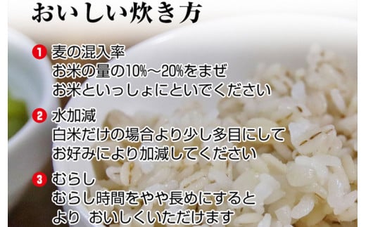 丸麦 500g×6 裸麦 500g×6 麦 丸麦 はだか麦 裸麦 麦味噌 雑穀 雑穀米 食物繊維