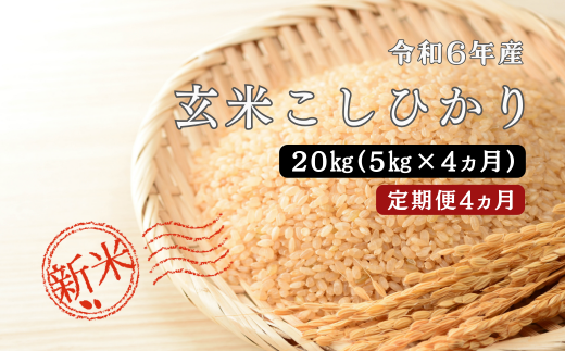 150268【令和6年産／お米定期便／4ヵ月】しまね川本 玄米 こしひかり5kg (計20kg） 1455893 - 島根県川本町