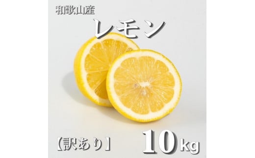 和歌山産 レモン 10kg  【訳あり】 【US3】 1396138 - 和歌山県九度山町