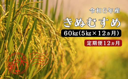 150263【令和6年産／お米定期便／12ヵ月】しまね川本 きぬむすめ 5kg (計60kg） 1455898 - 島根県川本町