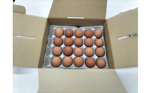 【定期便６回】輝黄卵２０個入り進物箱 1396121 - 福岡県筑前町